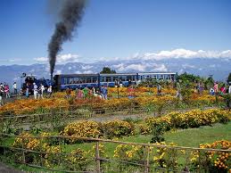 Darjeeling LTC Tour