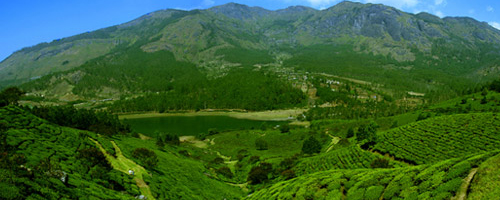 kerala_tour_packages