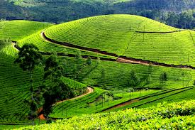 Hills of Kerala