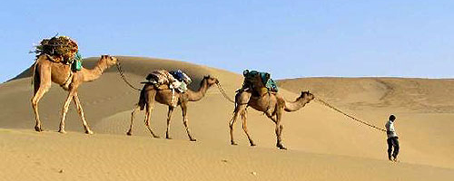 rajasthan_tour